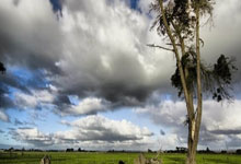 意甲联赛精彩纷呈，球队表现抢眼